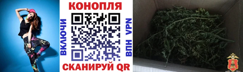  Cocaine Ермолино