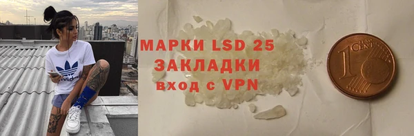 крисы Алзамай
