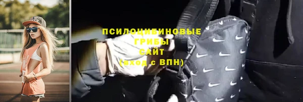 крисы Алзамай