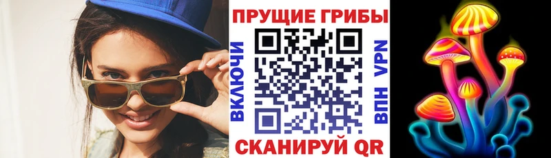 наркошоп  Ермолино  Галлюциногенные грибы Psilocybe 
